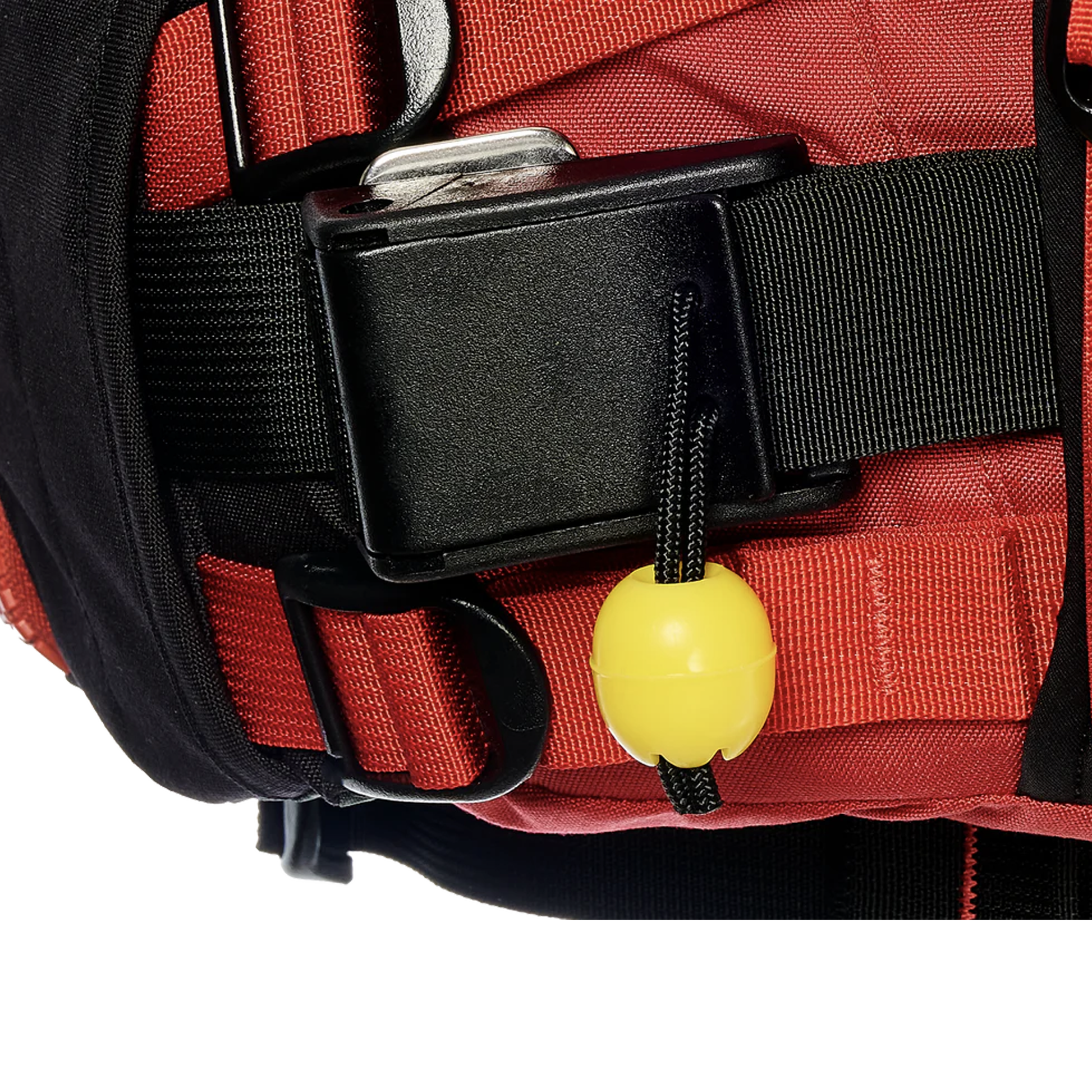 Astral Indus Limited Edition Bones Red Belt