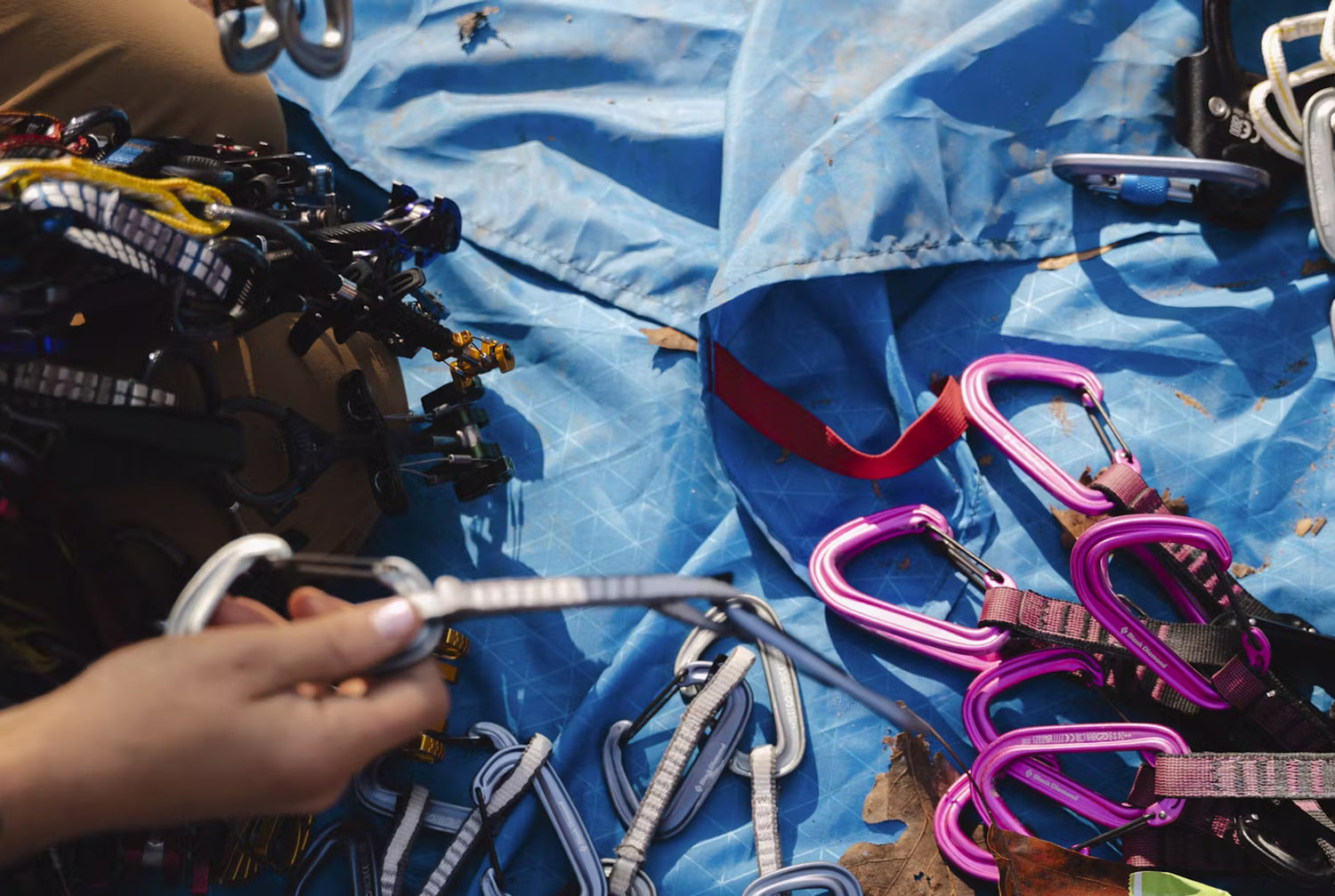 Black Diamond Carabiners