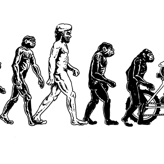 Nealy Mountain Biker Evolution Sticker