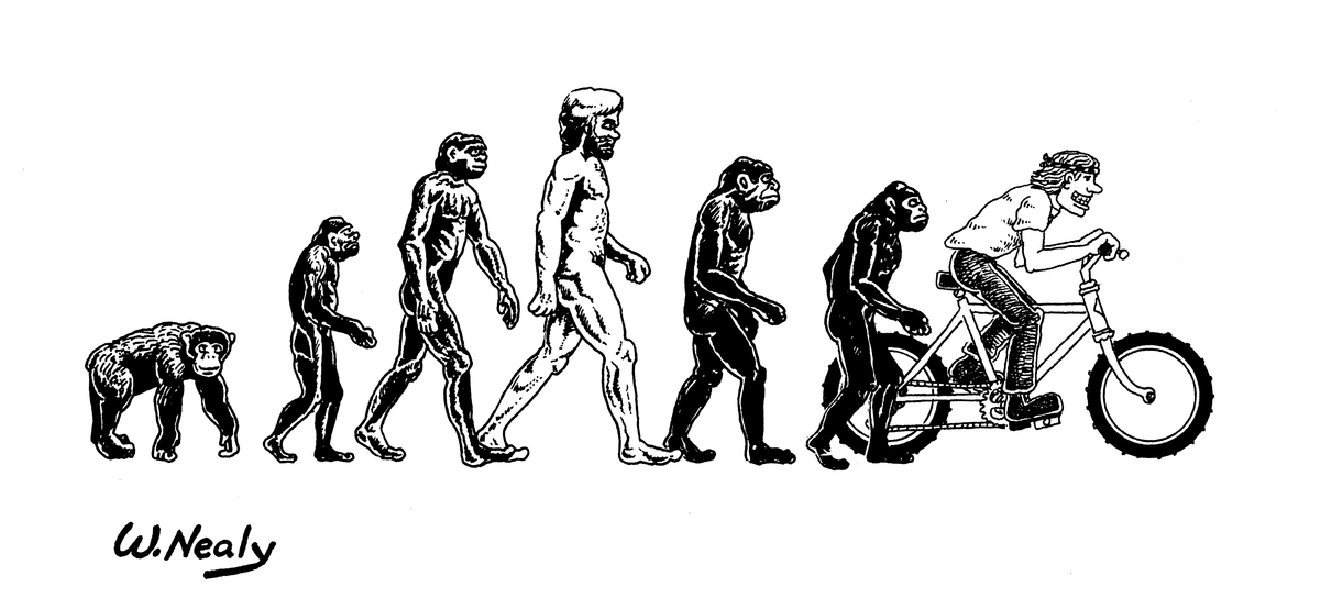 Nealy Mountain Biker Evolution Sticker