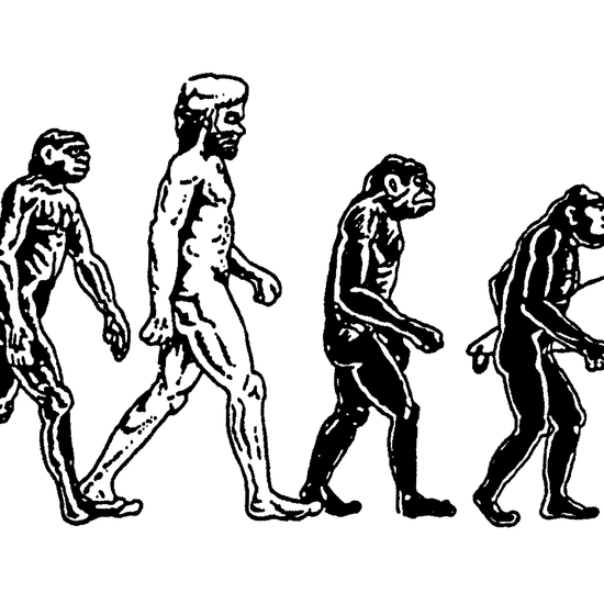 Nealy Evolution Kayaker Sticker