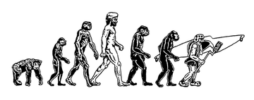 Nealy Evolution Kayaker Sticker