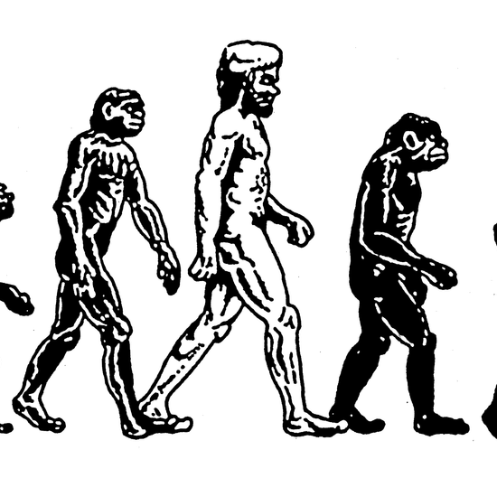 Nealy Rafter Evolution Sticker