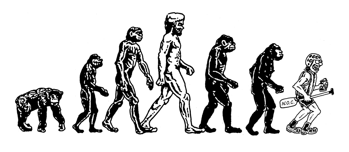 Nealy Rafter Evolution Sticker