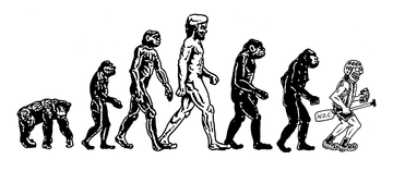 Nealy Rafter Evolution Sticker