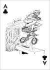 William Nealy Playing Cards