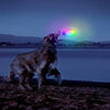 Flashflight Dog Discuit LED Flying Disc