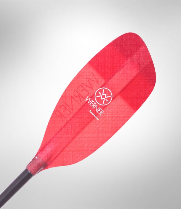 Werner Paddles